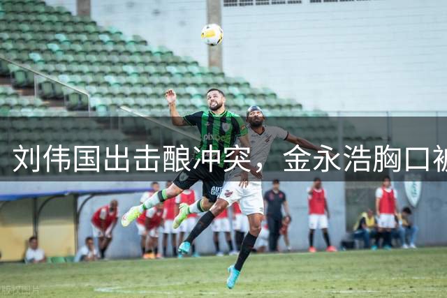 刘伟国出击酿冲突，金永浩胸口被踢倒地
